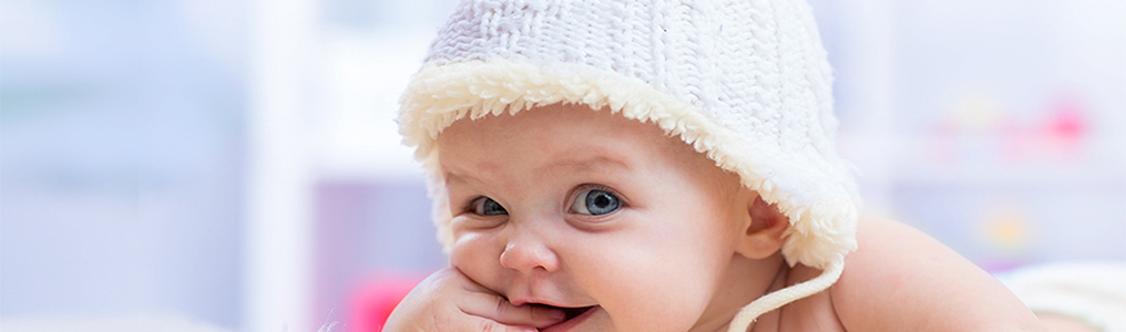 Pa&ntilde;ales Panolini Comfort Sec M/2